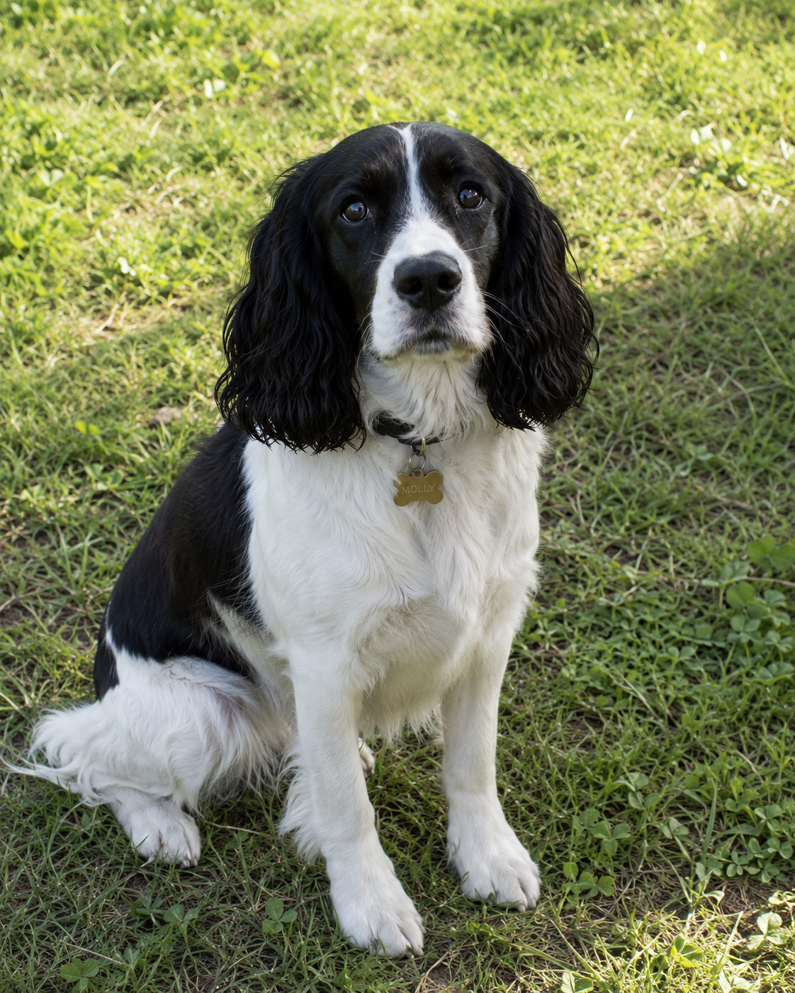 Molly